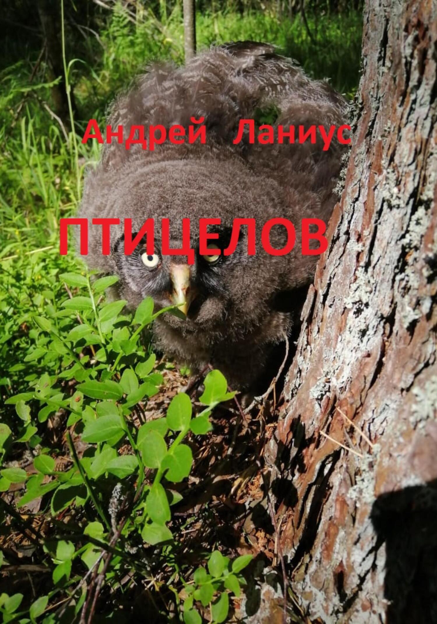 читать Птицелов