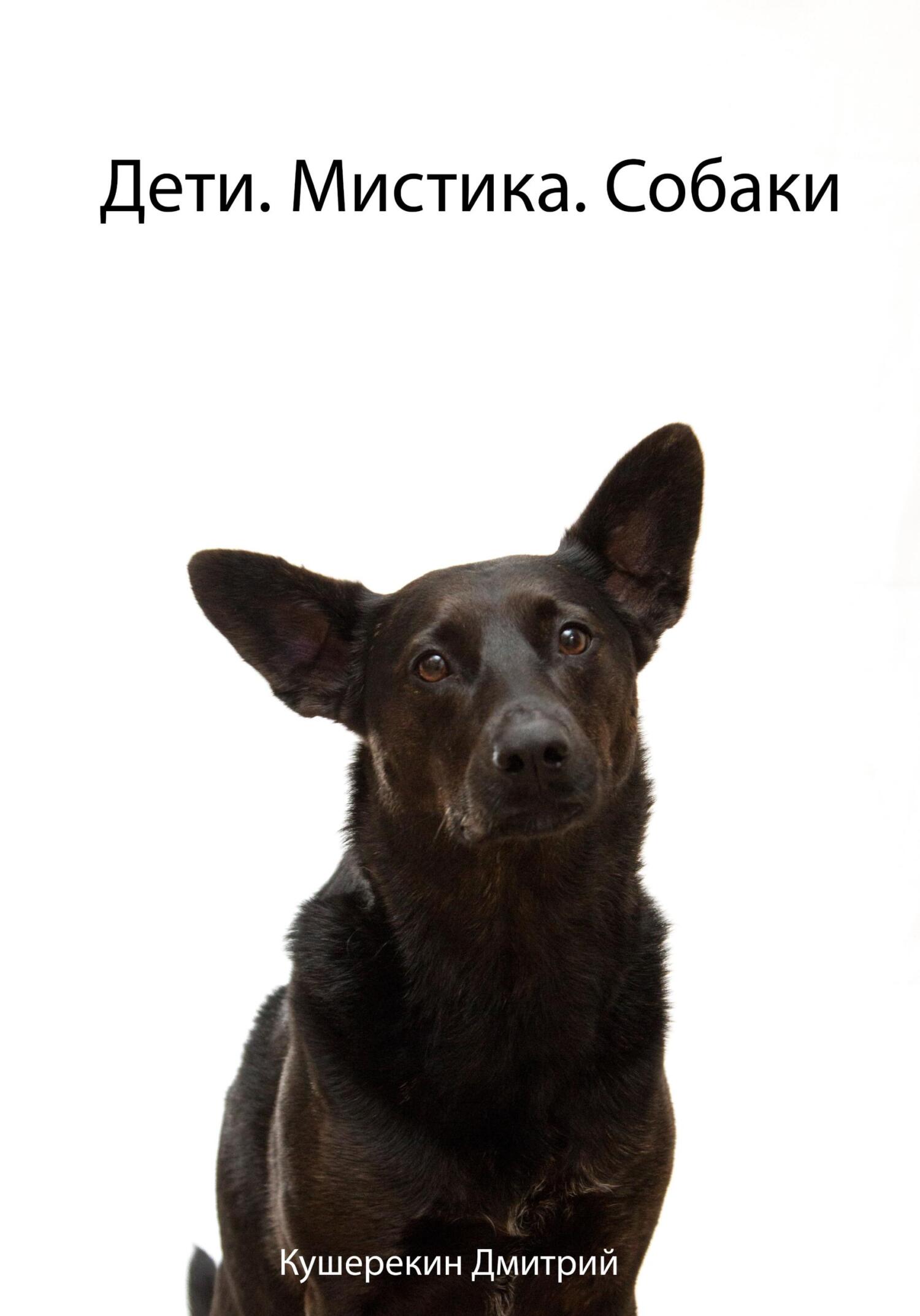 читать Дети. Мистика. Собаки