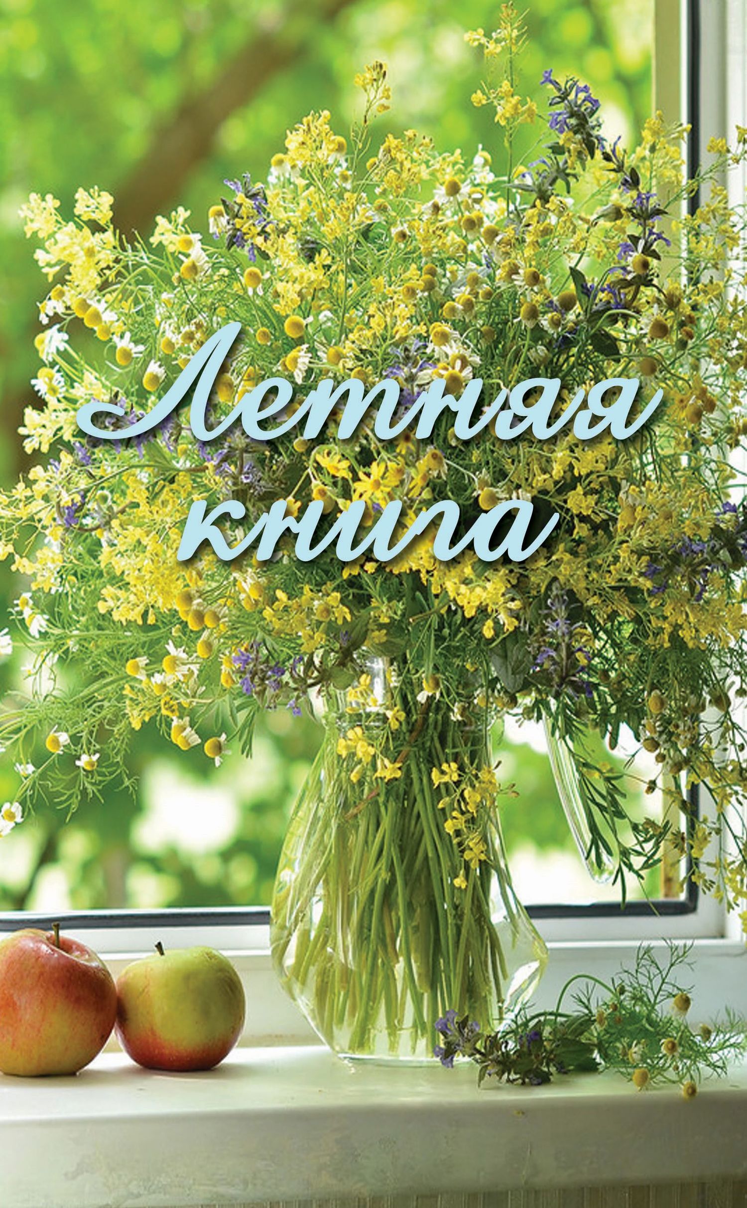 читать Летняя книга