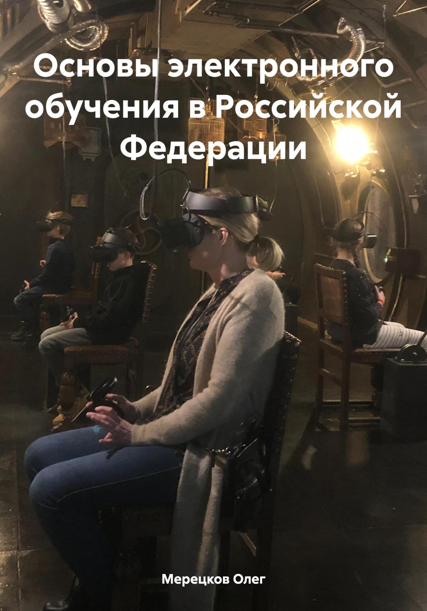 читать Основы электронного обучения в Российской Федерации