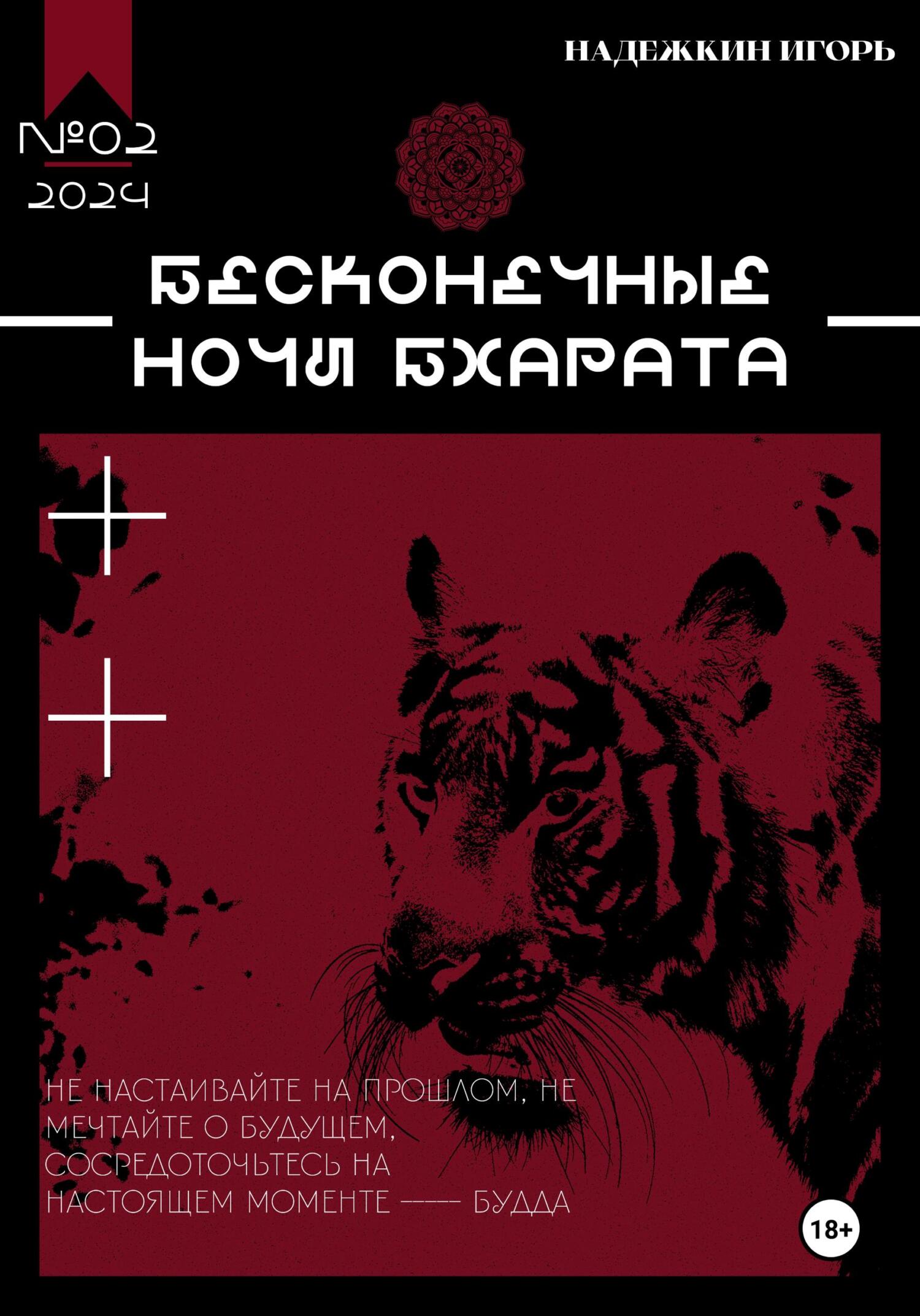 читать Бесконечные ночи Бхарата