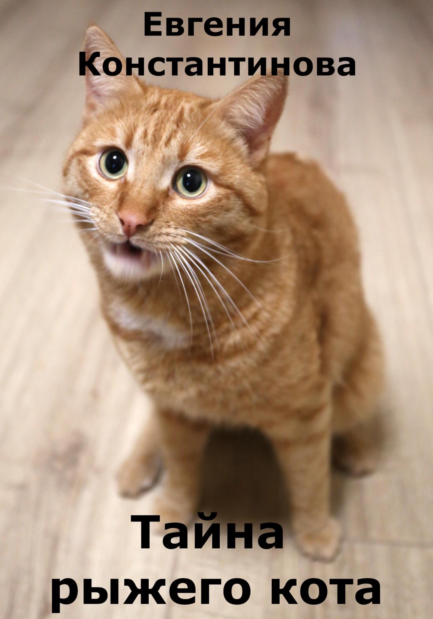 читать Тайна рыжего кота