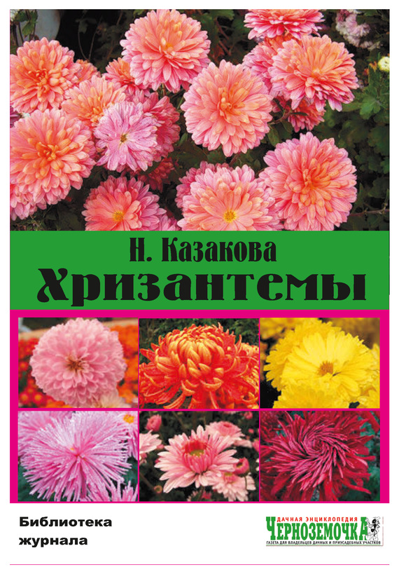 читать Хризантемы