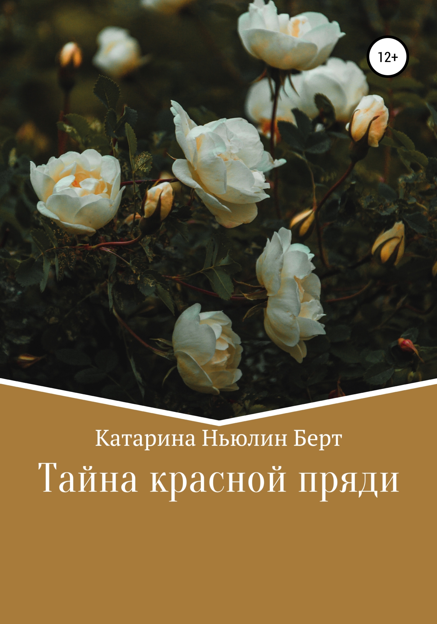читать Тайна красной пряди