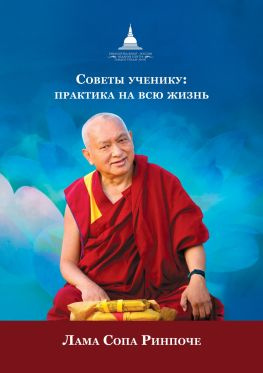 читать Советы ученику. Практика на всю жизнь