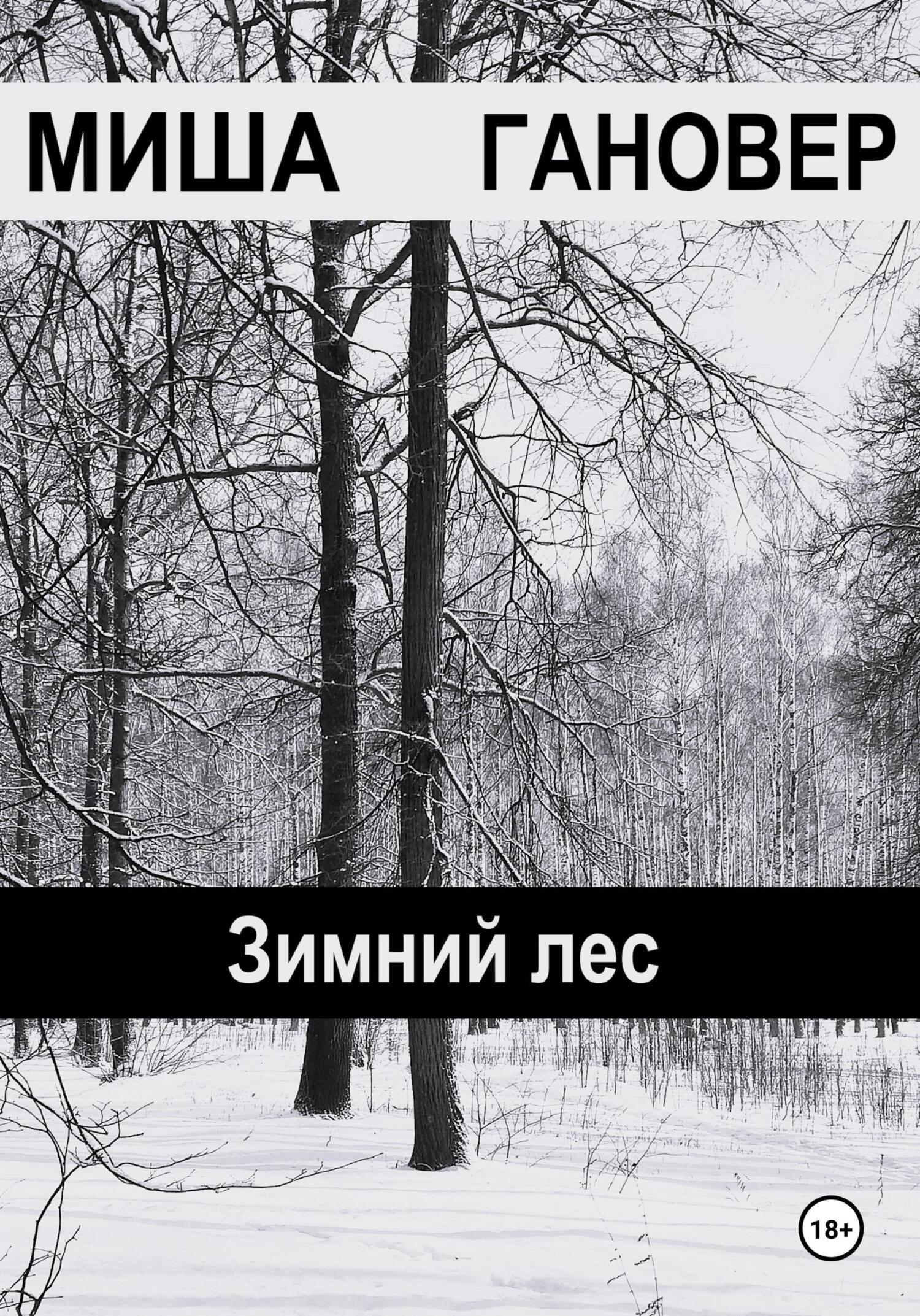 читать Зимний лес