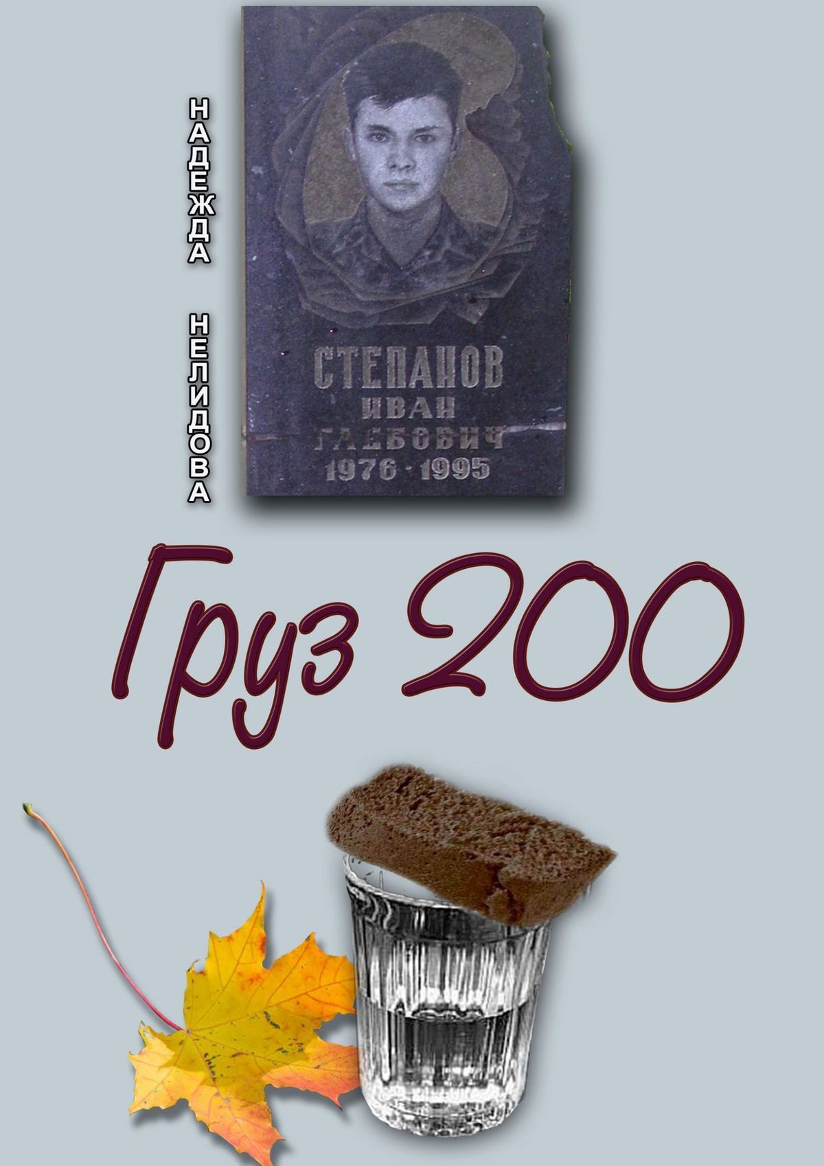 читать Груз 200