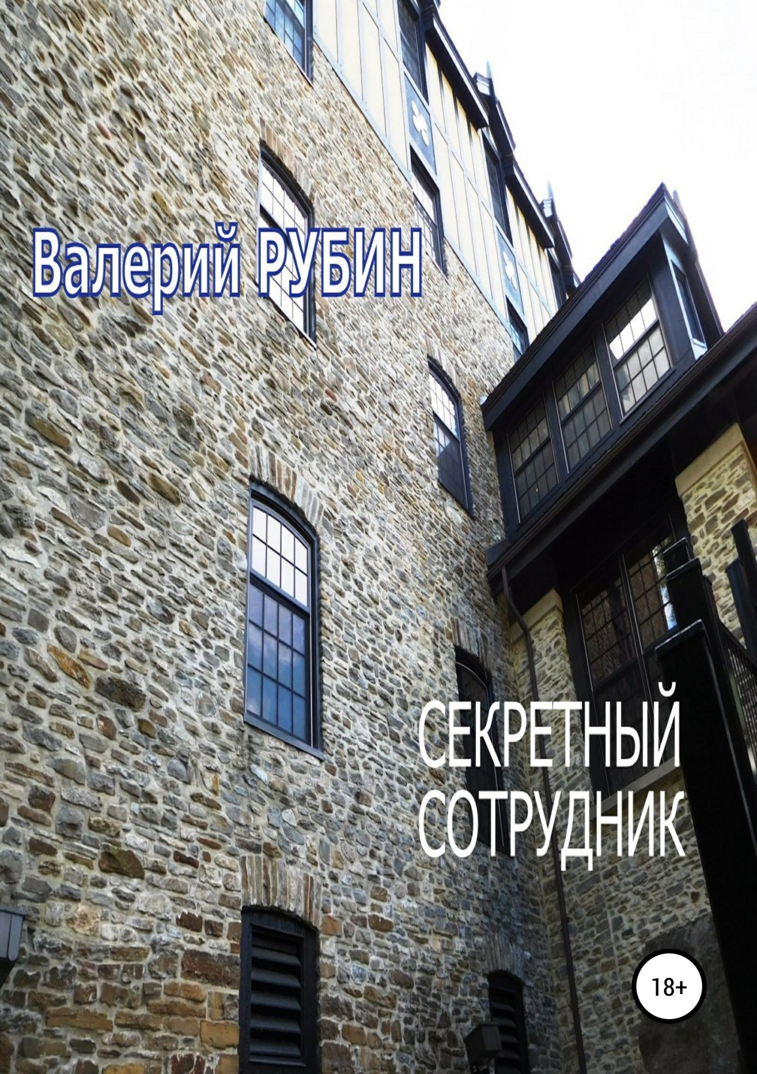 читать Секретный сотрудник