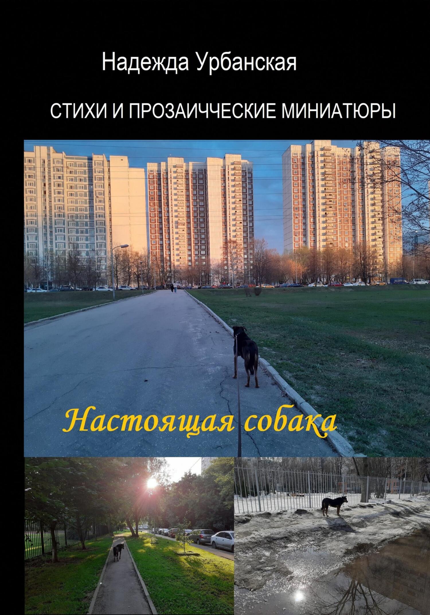 читать Настоящая собака