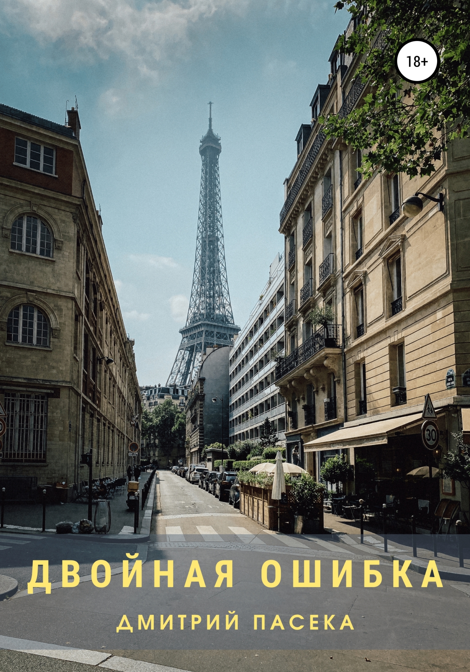 читать Двойная ошибка