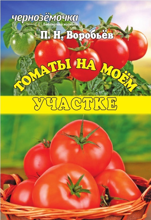читать Томаты на моем участке
