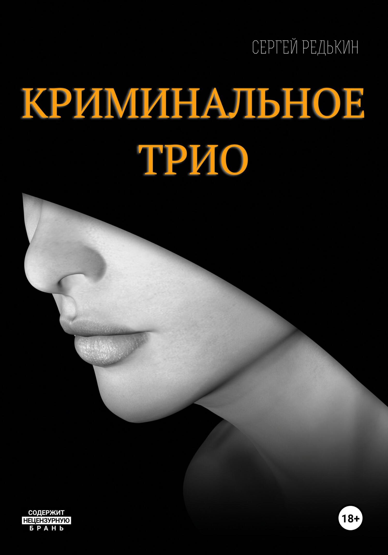 читать Криминальное трио