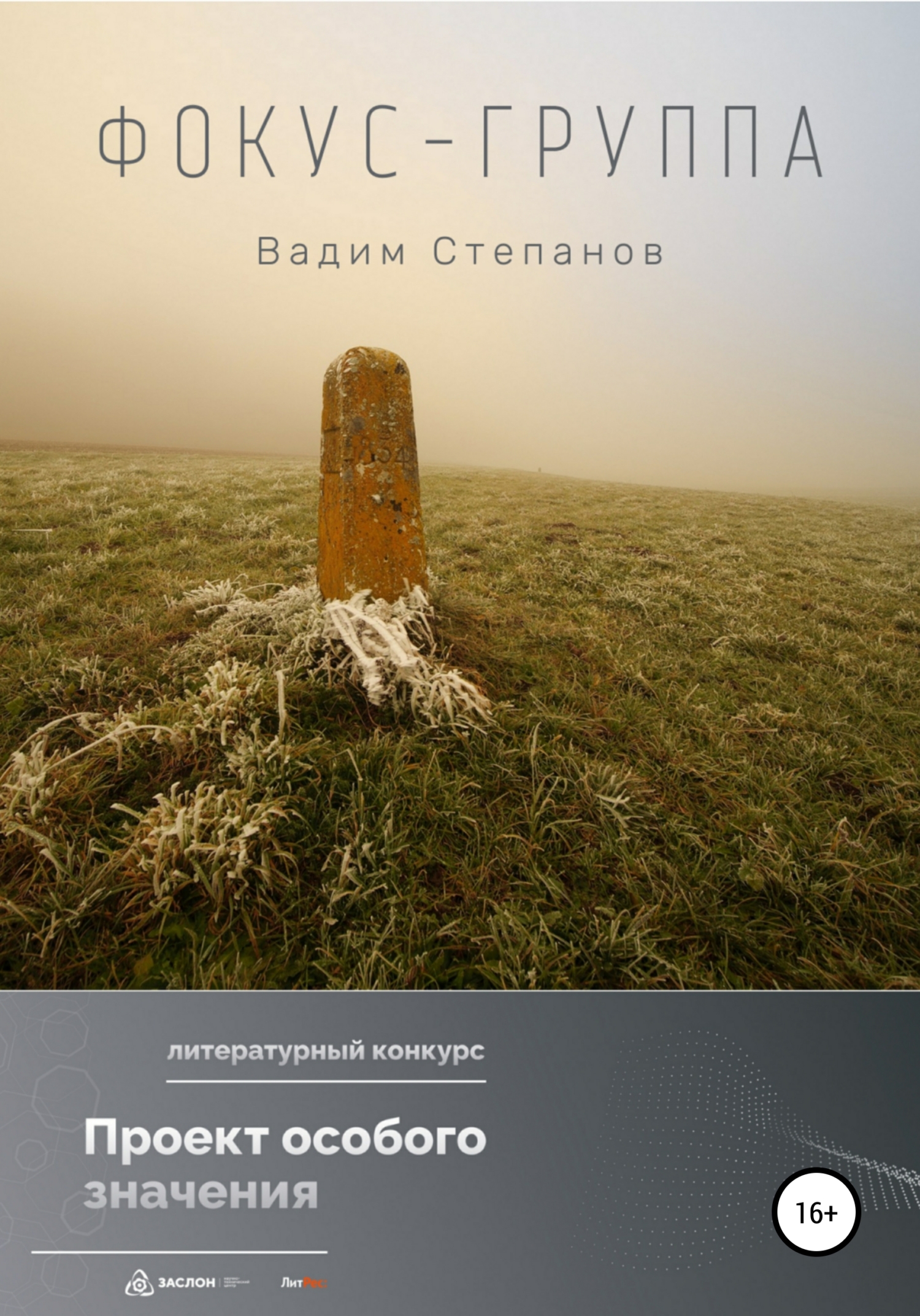 читать Фокус-группа