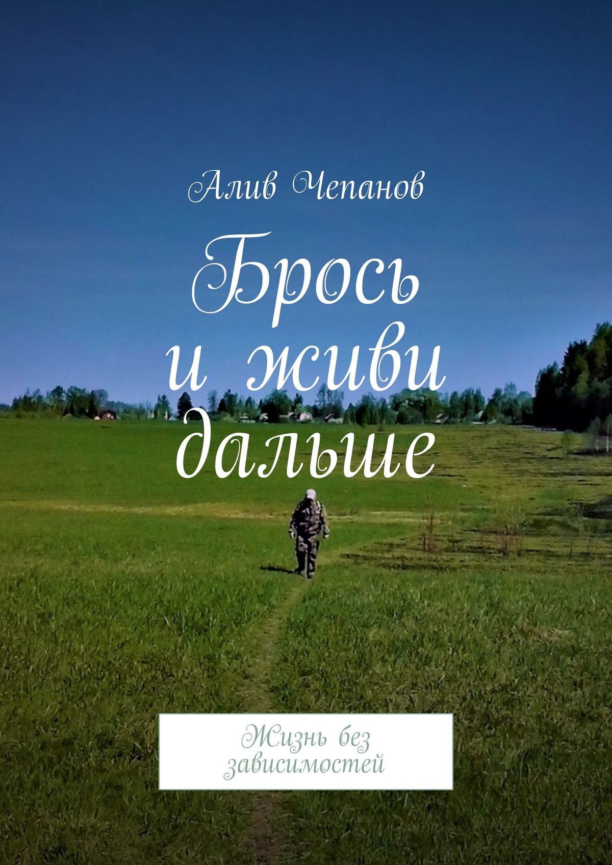 читать Брось и живи дальше. Жизнь без зависимостей