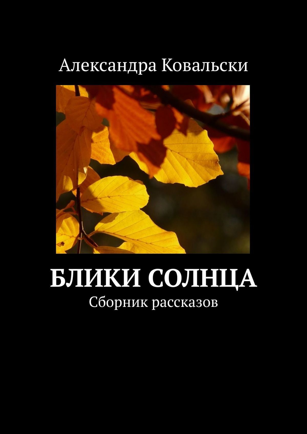 читать Блики Солнца. Сборник рассказов