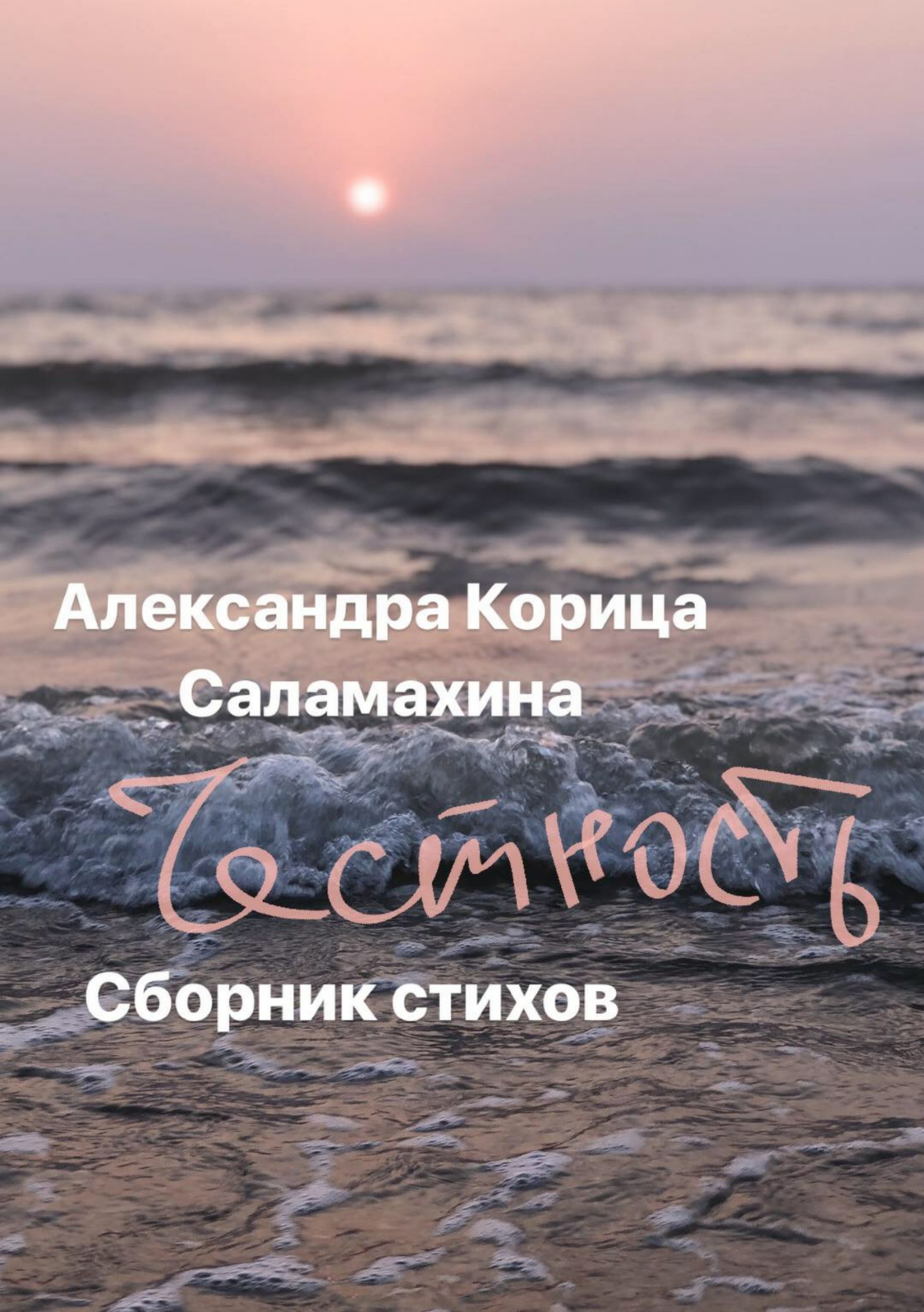читать Честность. Сборник стихотворений
