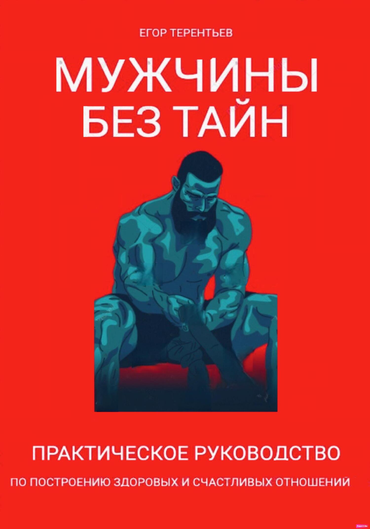 читать Мужчины без тайн. Практическое руководство по построению здоровых и счастливых отношений