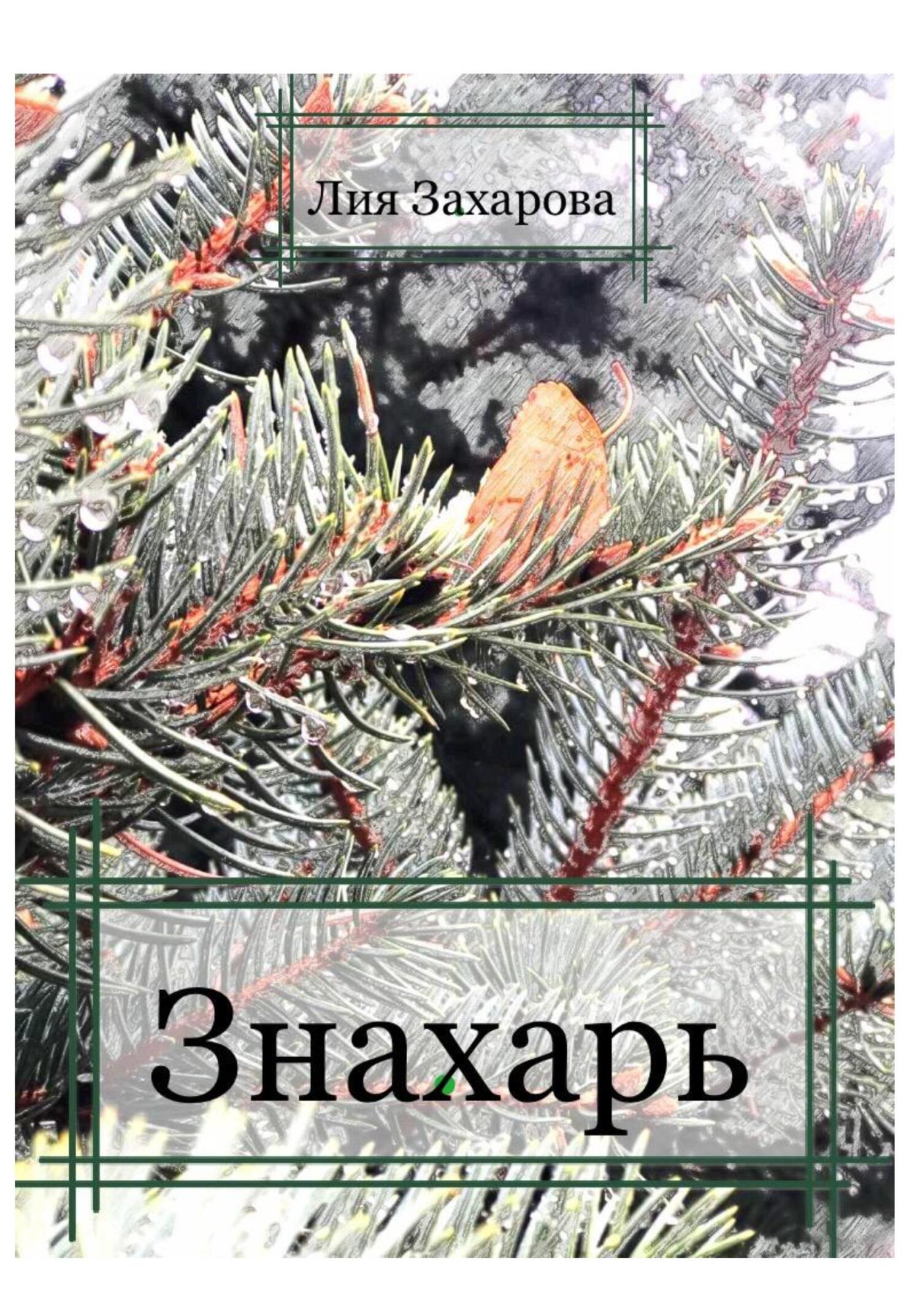 читать Знахарь