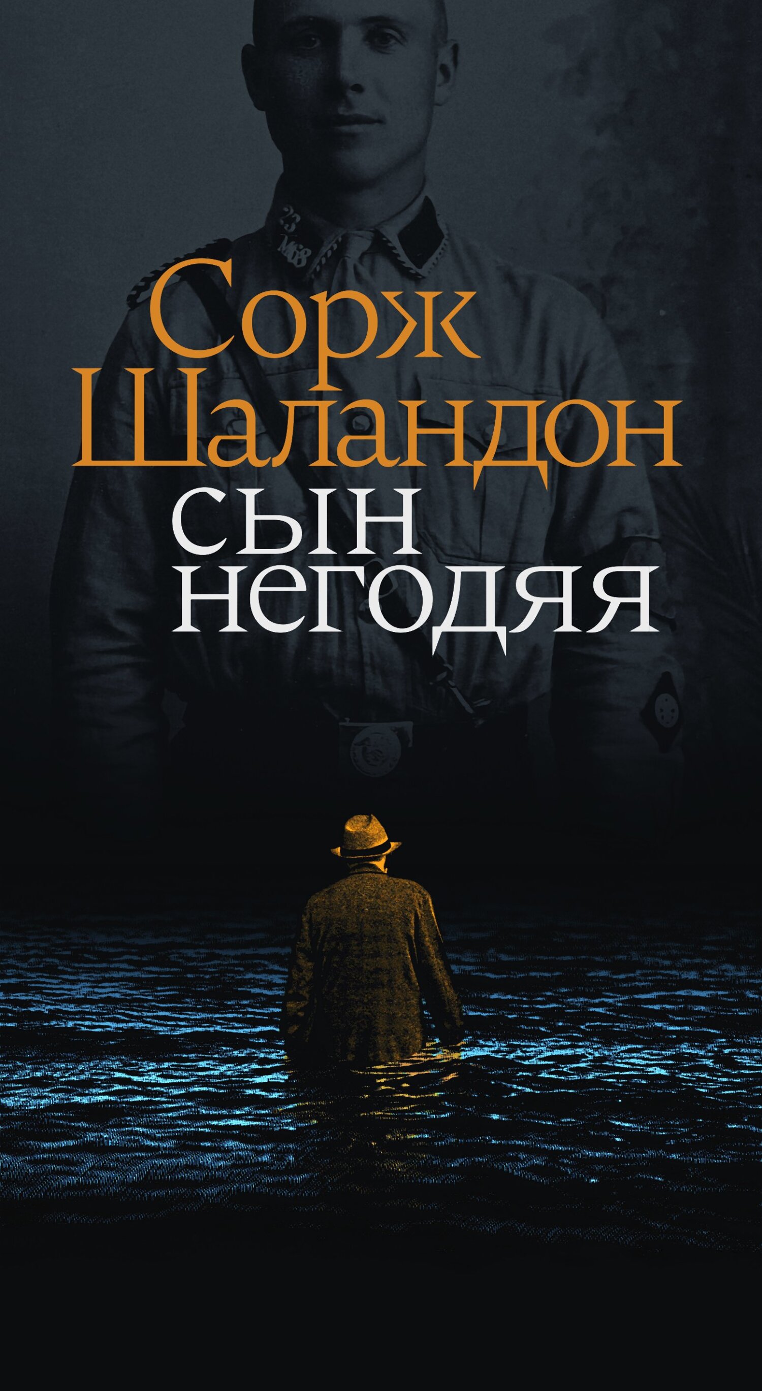 читать Сын негодяя