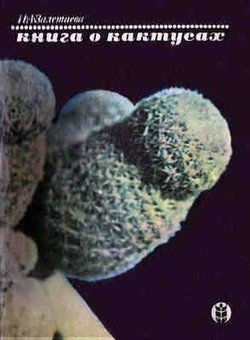 читать Книга о кактусах