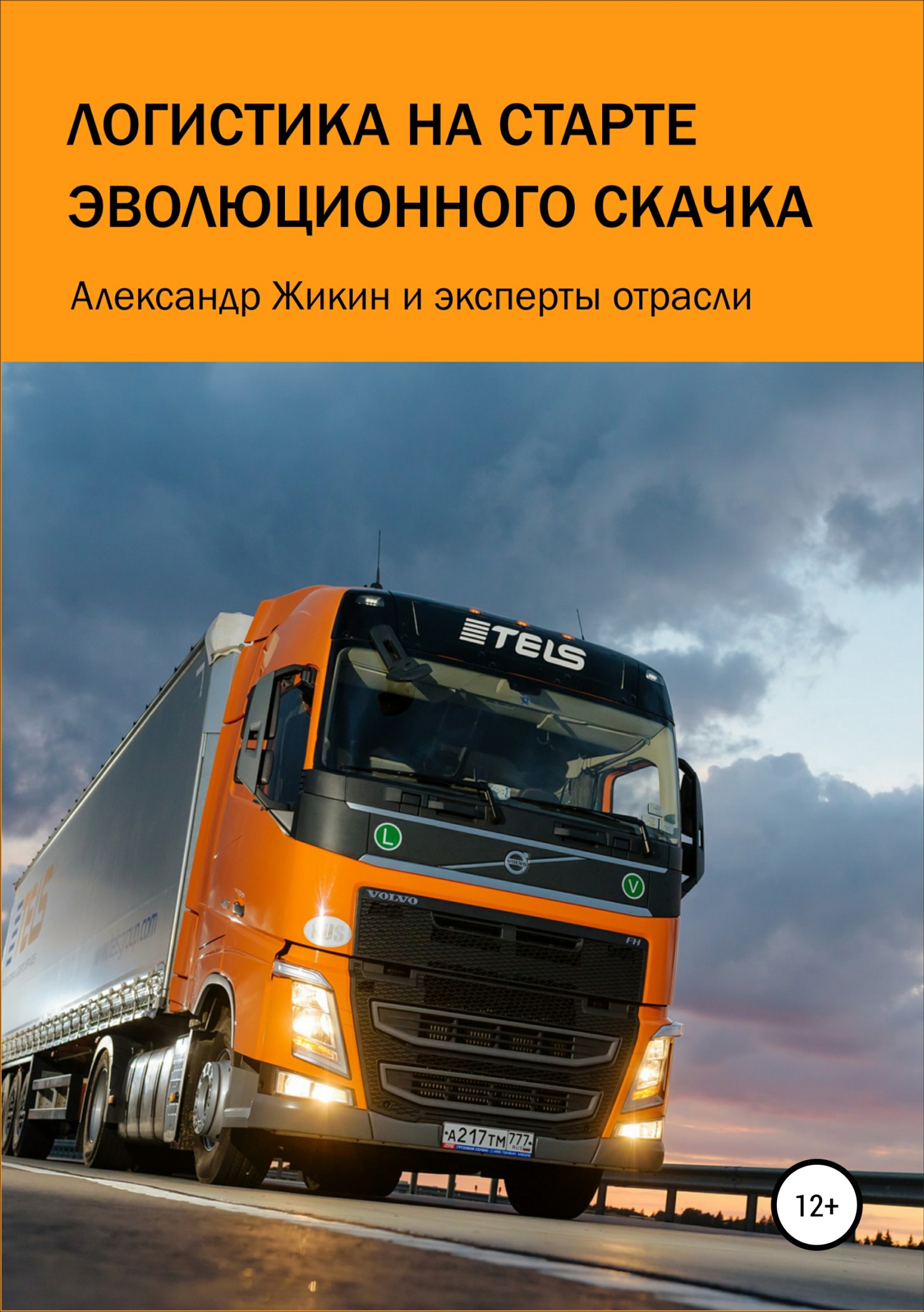 читать Логистика на старте эволюционного скачка