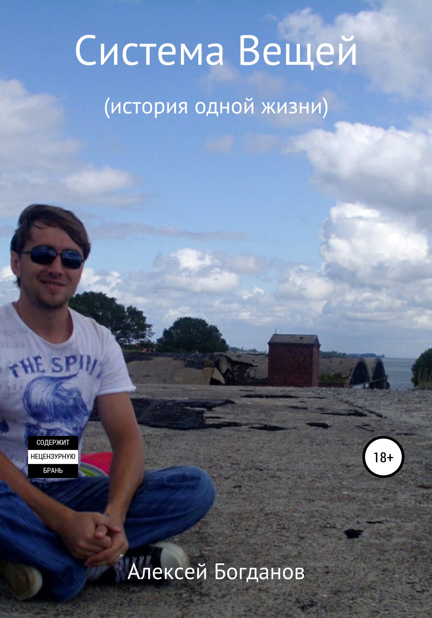 читать Система вещей