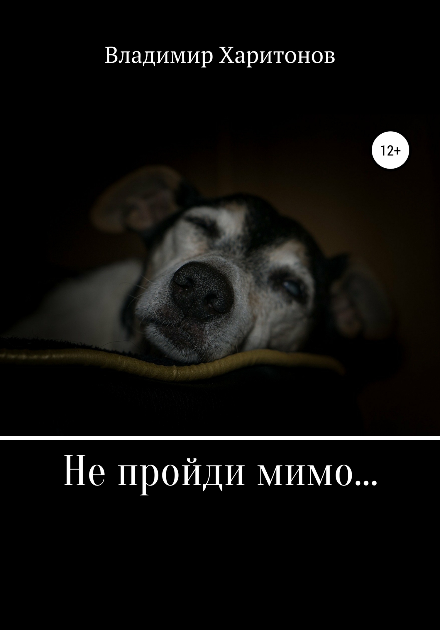 читать Не пройди мимо…