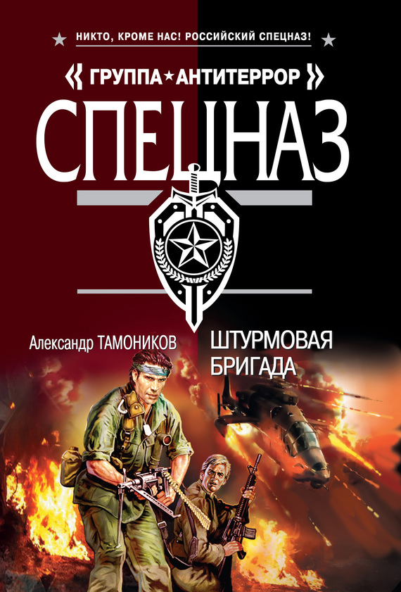 читать Штурмовая бригада