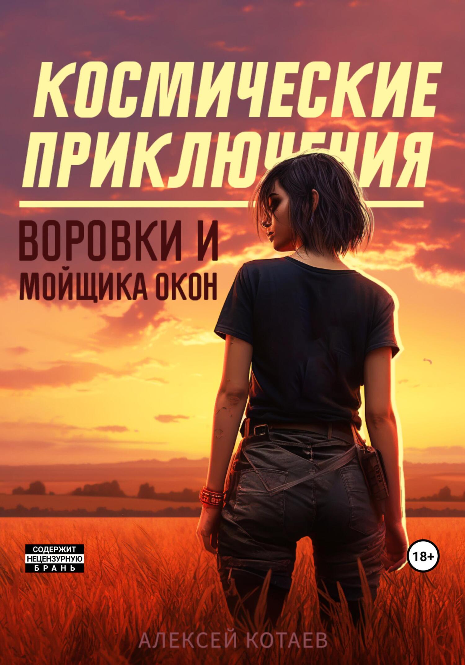 читать Космические приключения воровки и мойщика окон