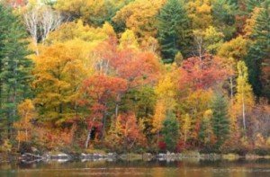 читать Гигиеническая система