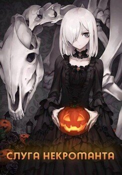 читать Слуга некроманта