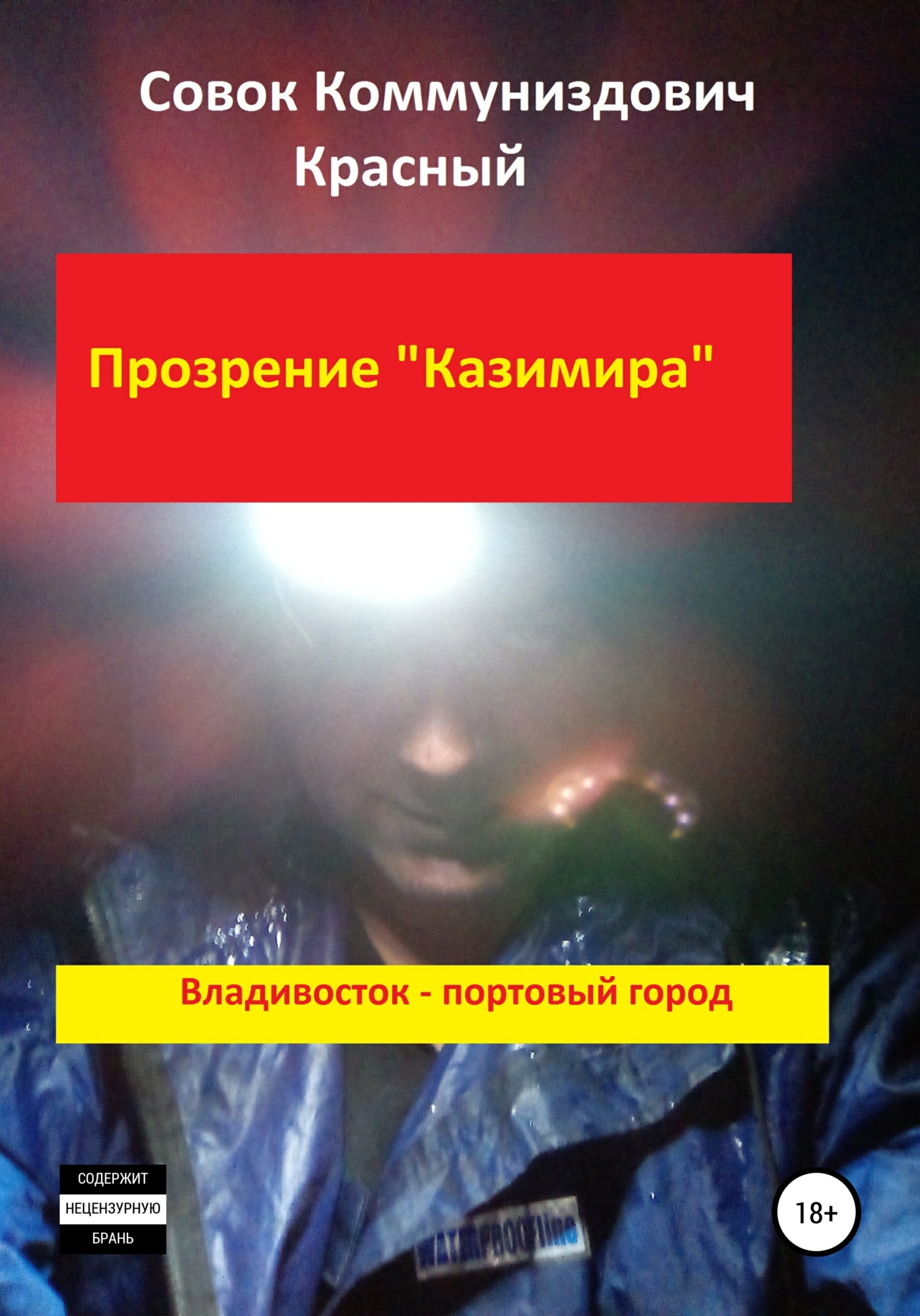 читать Прозрение Казимира