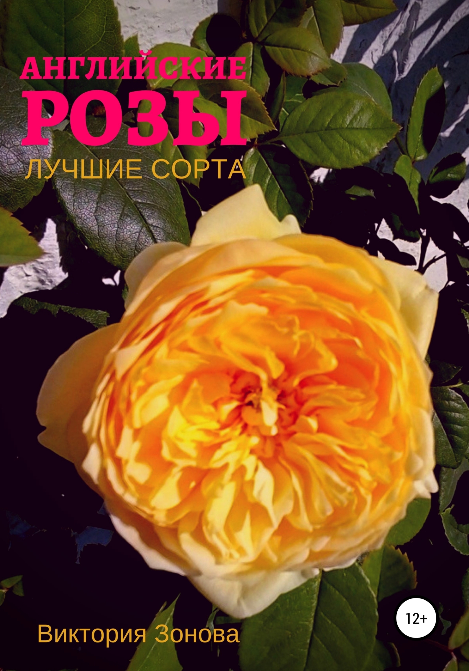 читать Английские розы. Лучшие сорта