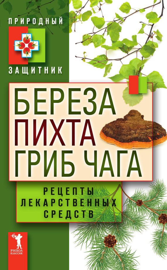 читать Береза, пихта, гриб чага. Рецепты лекарственных средств