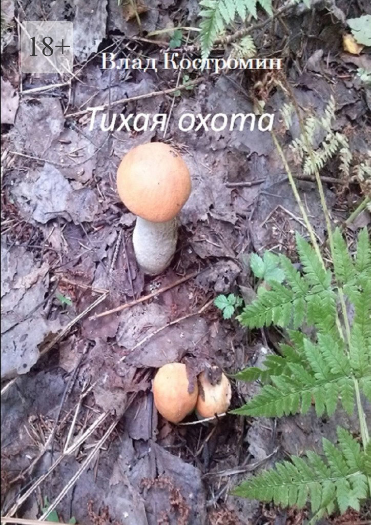 читать Тихая охота
