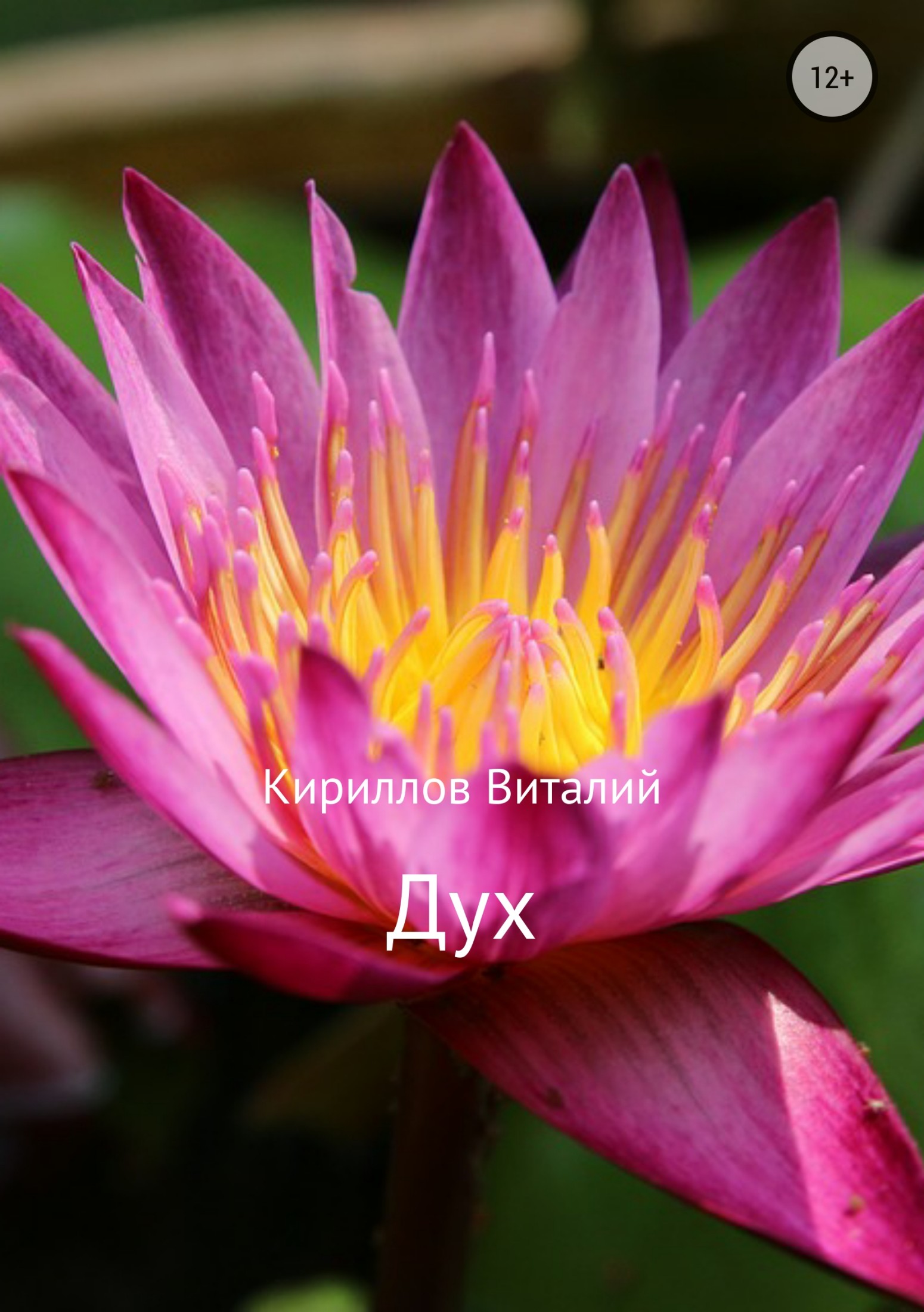 читать Дух