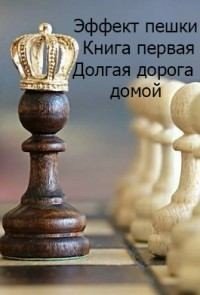 читать Эффект пешки. Книга первая. Долгая дорога домой