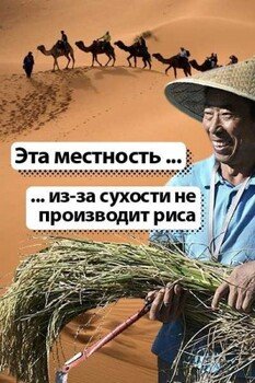 читать Эта местность ... из-за сухости не производит риса