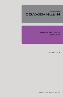 читать Архипелаг ГУЛАГ. Книга 1