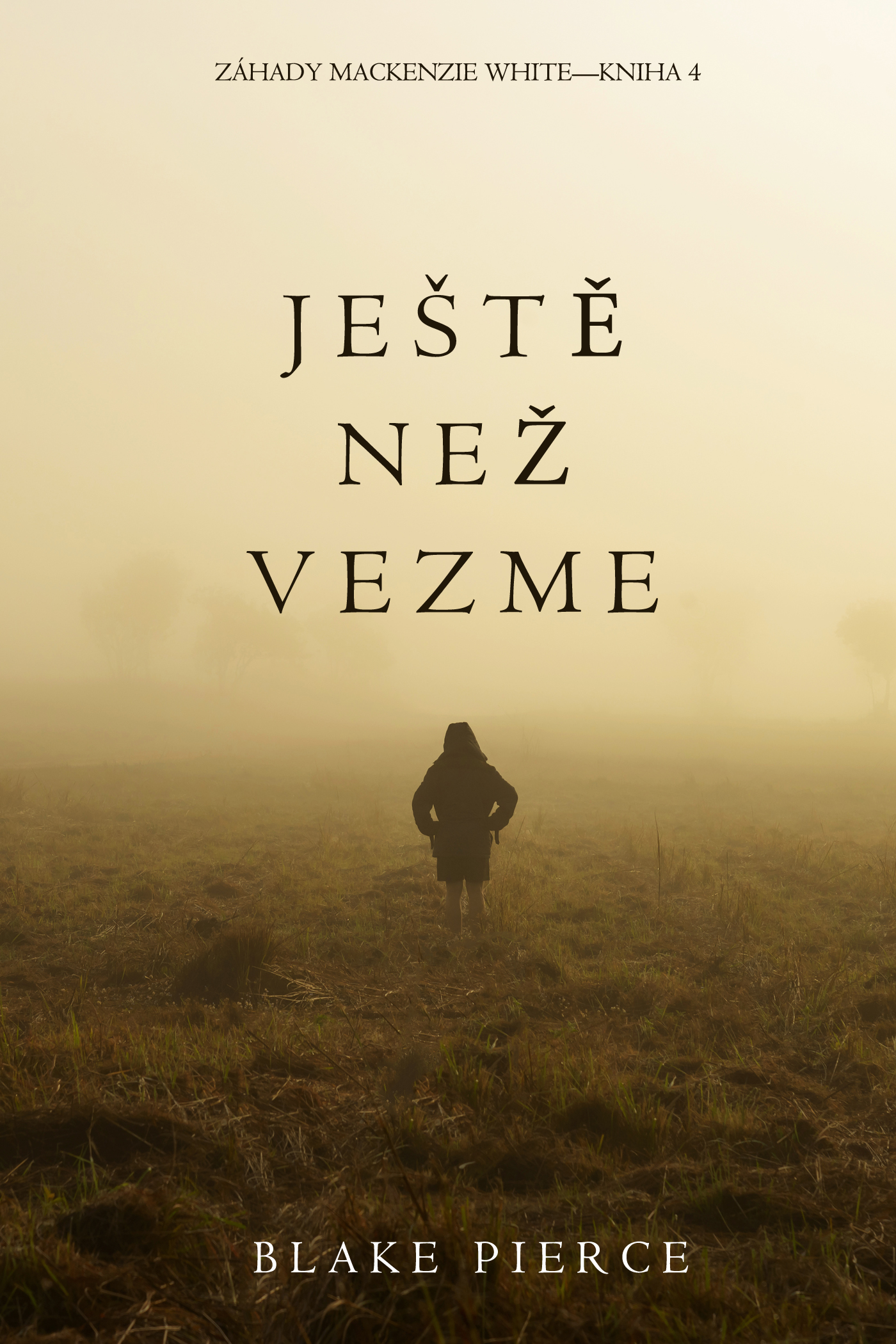 читать Ještě Než Vezme 