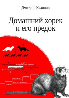 читать Домашний хорек и его предок