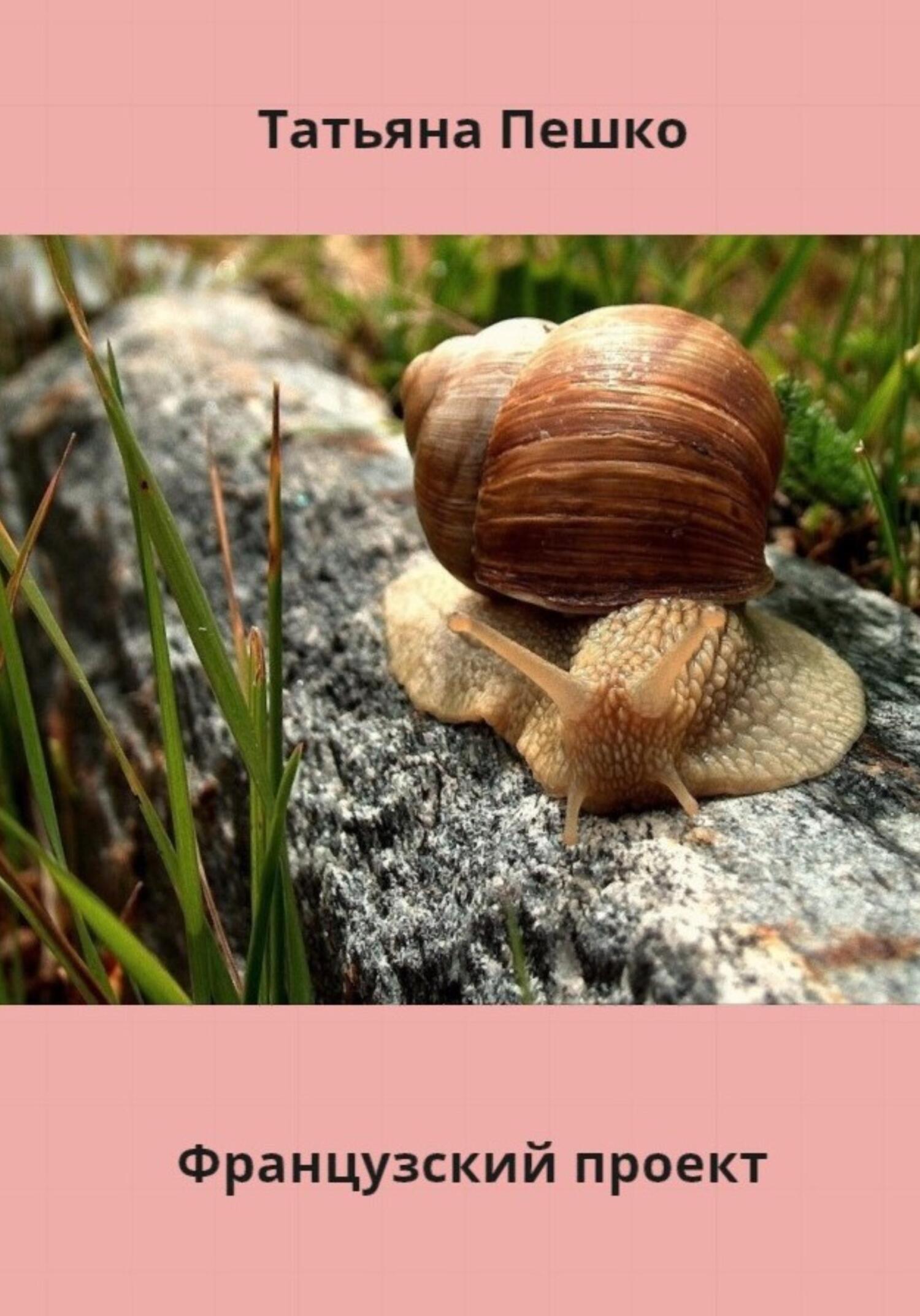 читать Французский проект