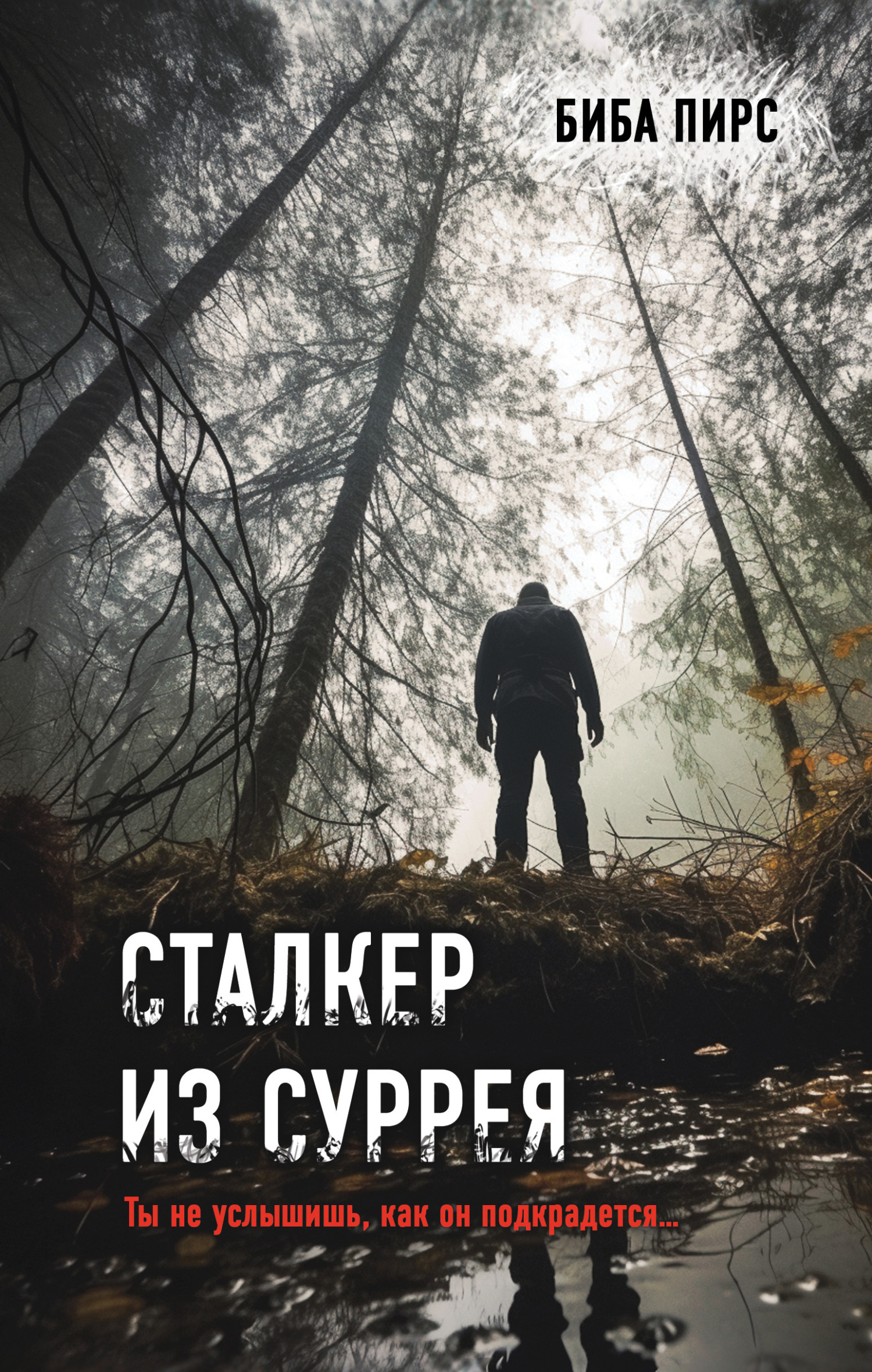 читать Сталкер из Суррея