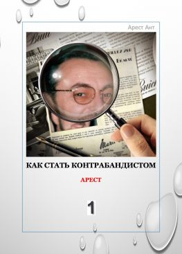 читать Как стать контрабандистом 1. Арест