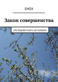 читать Закон совершенства