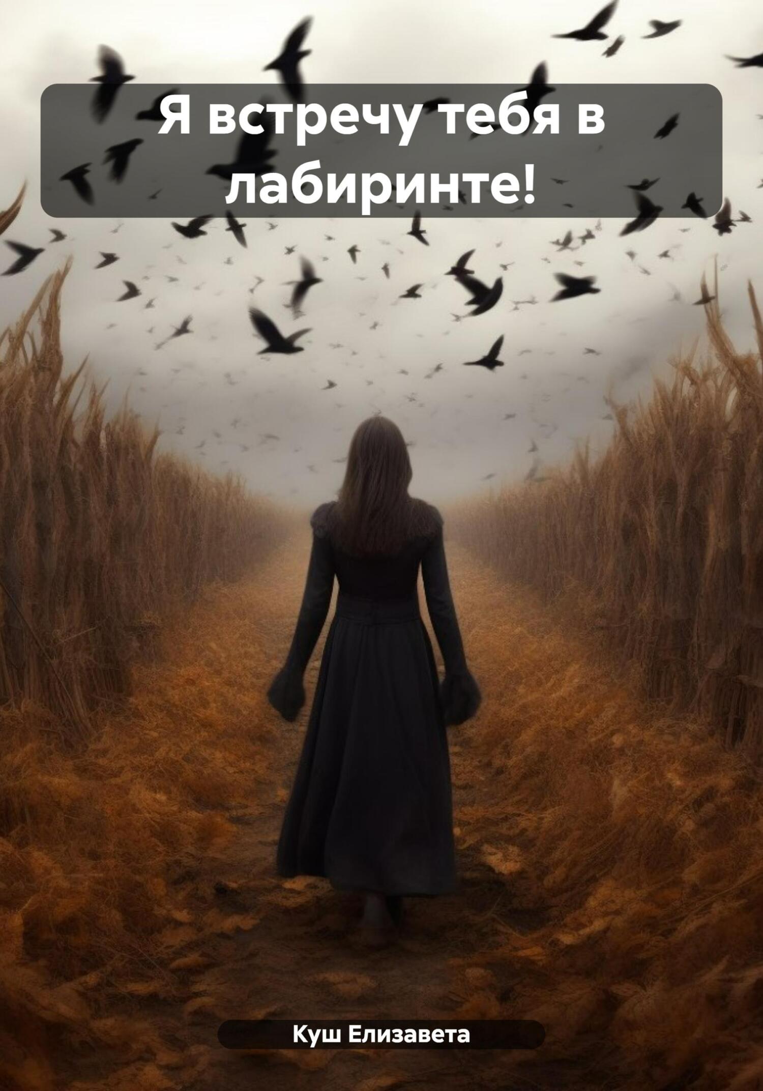 читать Я встречу тебя в лабиринте!
