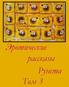 читать Эротические рассказы Рунета - Том 3