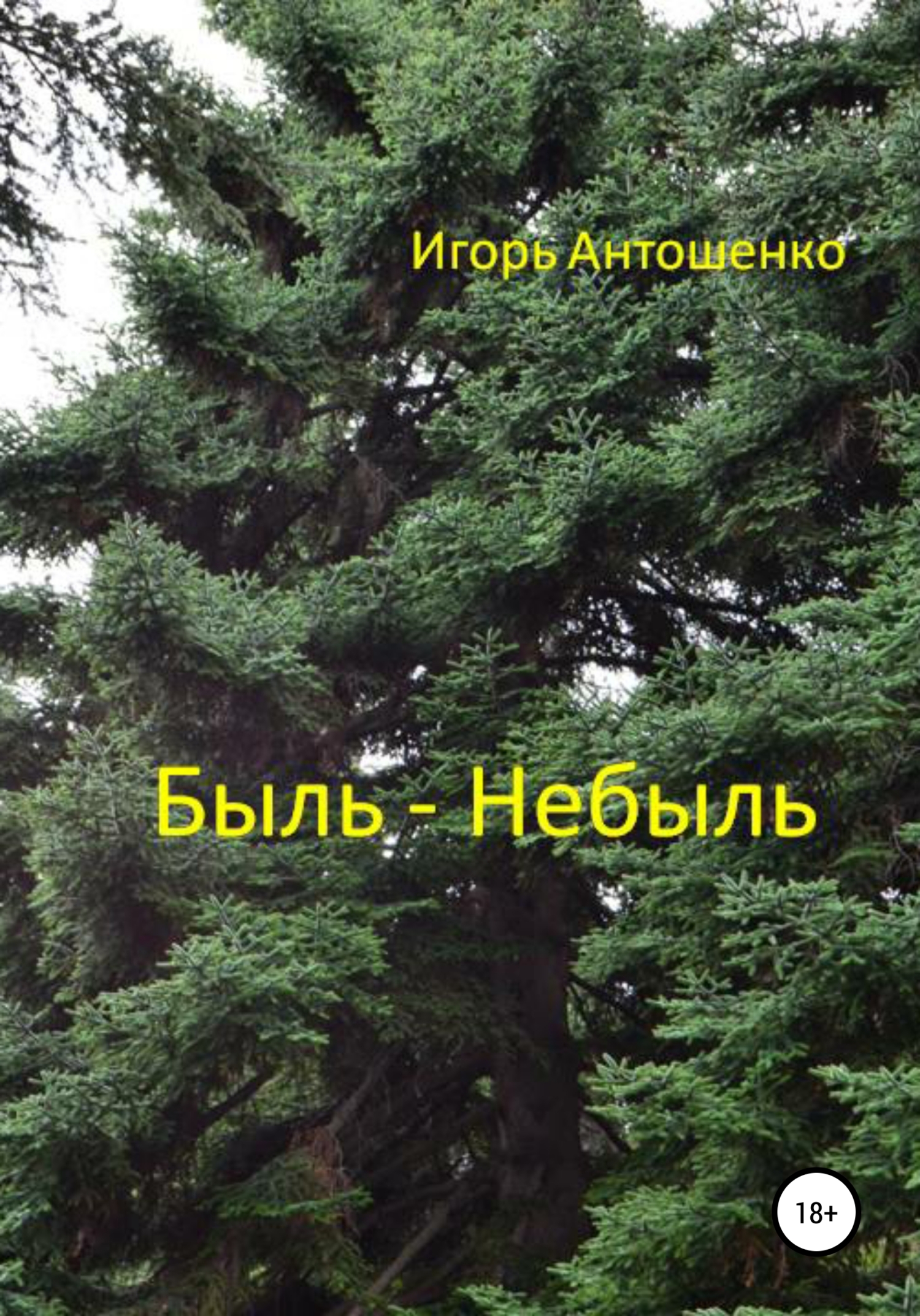 читать Быль – небыль