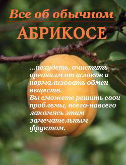 читать Все об обычном абрикосе