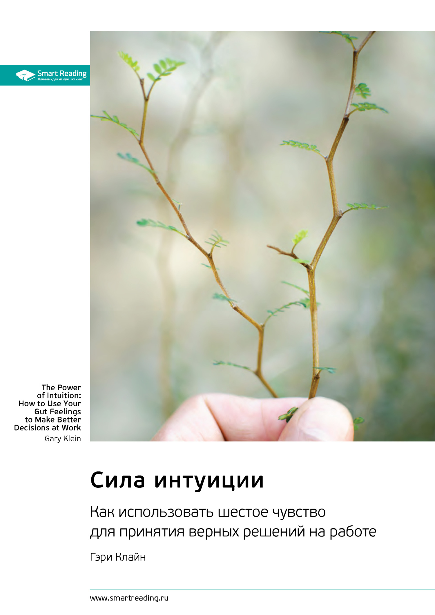 читать Сила интуиции. Как использовать шестое чувство для принятия верных решений на работе. Гэри Клайн. Саммари